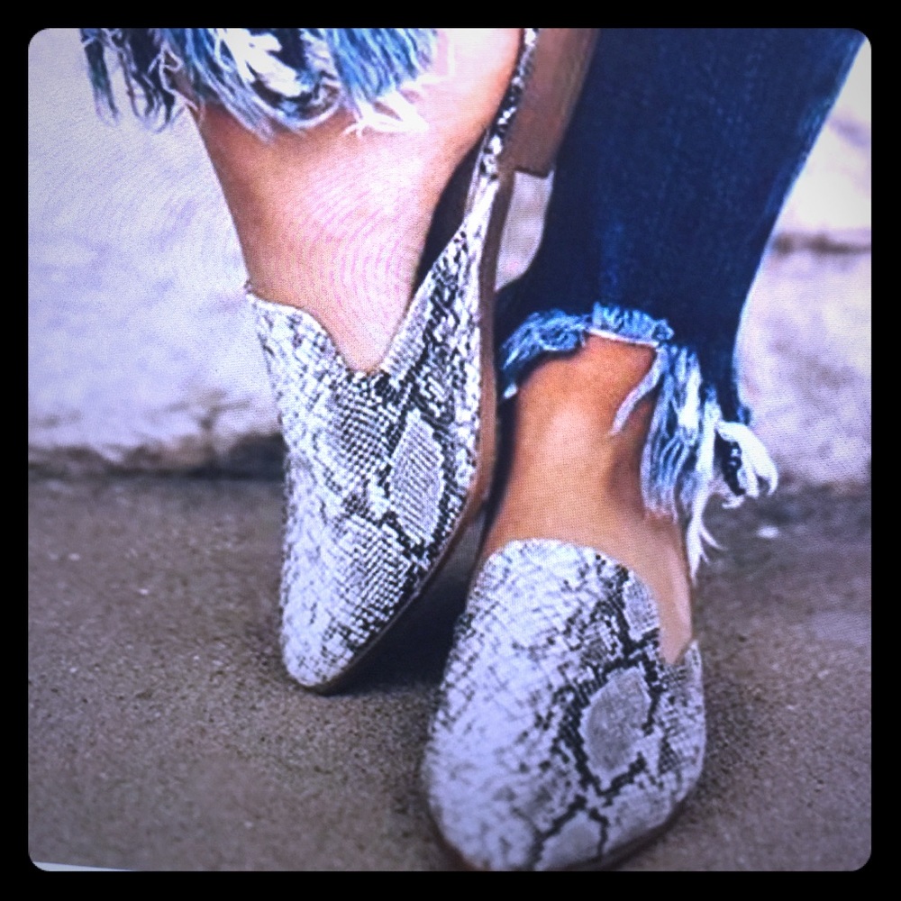 Snake Skin print Mules